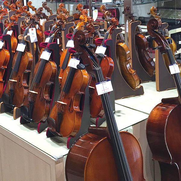 STRINGS SELECTION