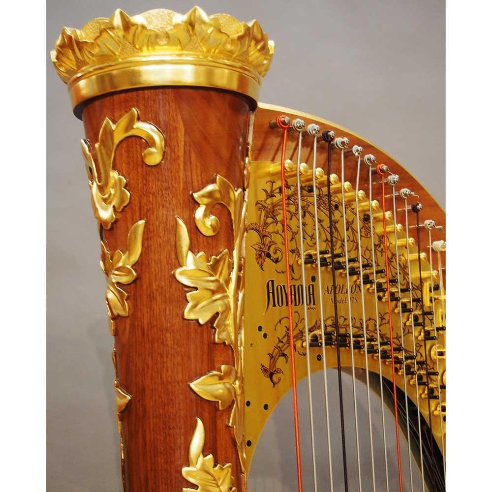 ハープ個別相談会