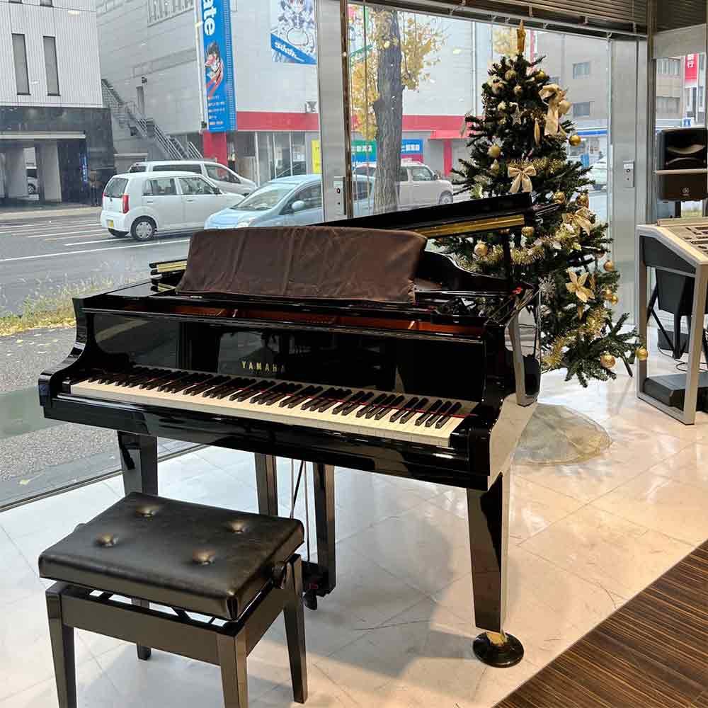 ピアノとエレクトーンでお届けするクリスマススペシャルコンサート