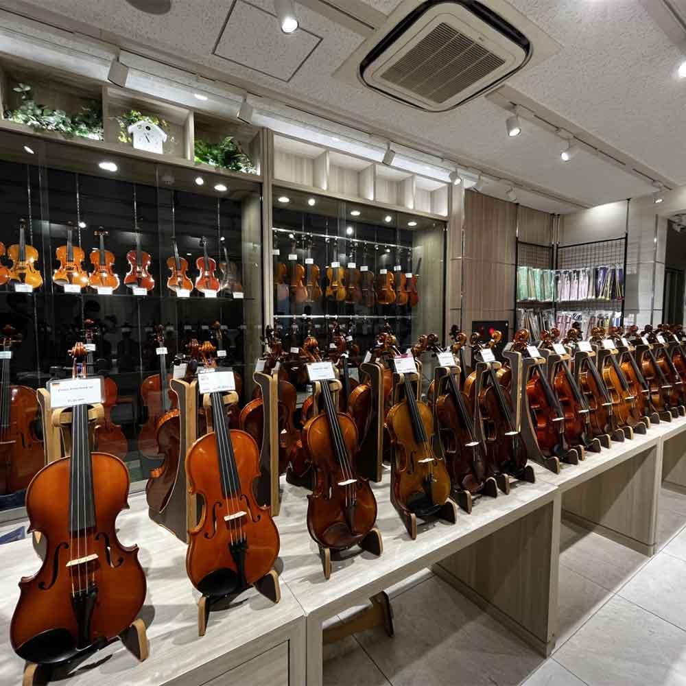 弦楽器展示会