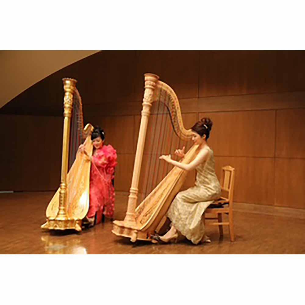 Lapis Lazuli Harp Duo
