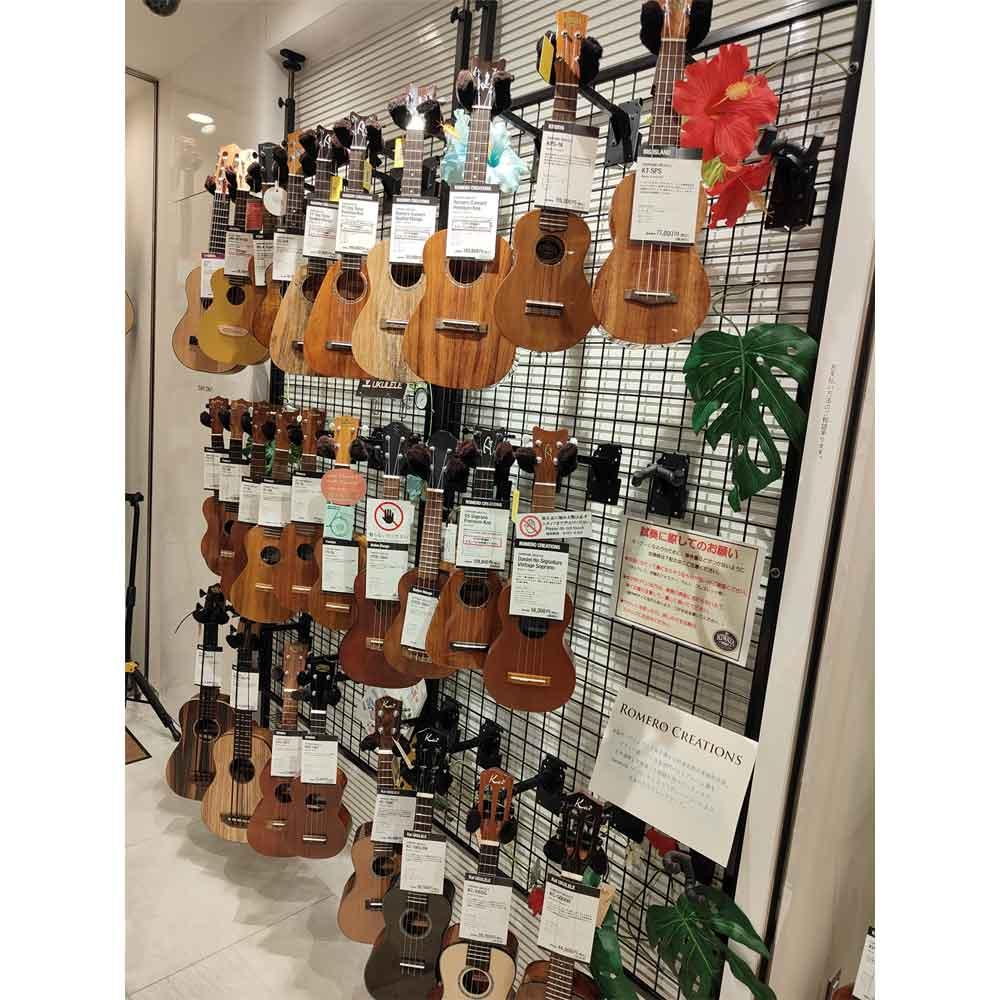 UKULELE SELECTION 2025