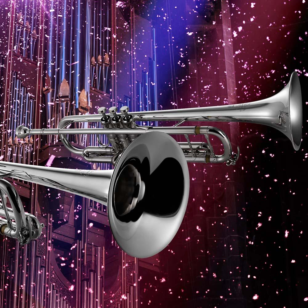 Trumpet Collection 2025