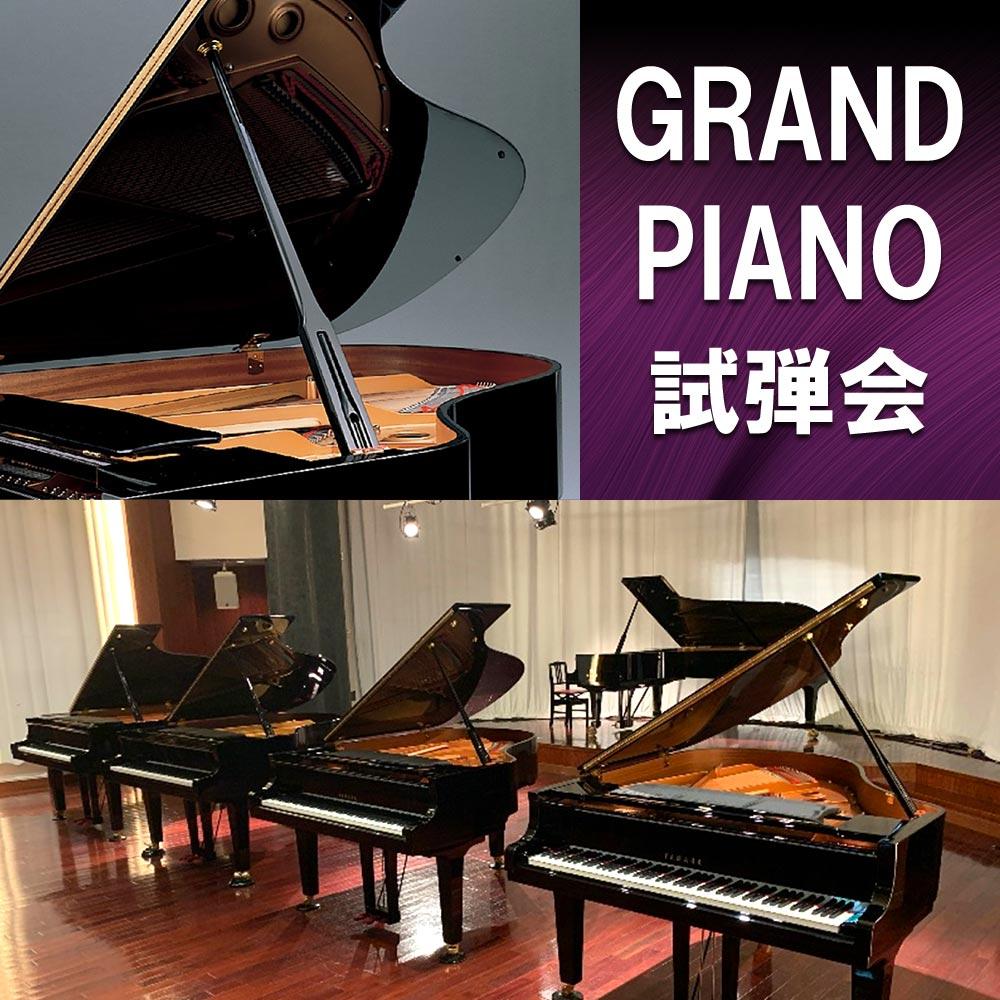 GRAND PIANO 試弾会