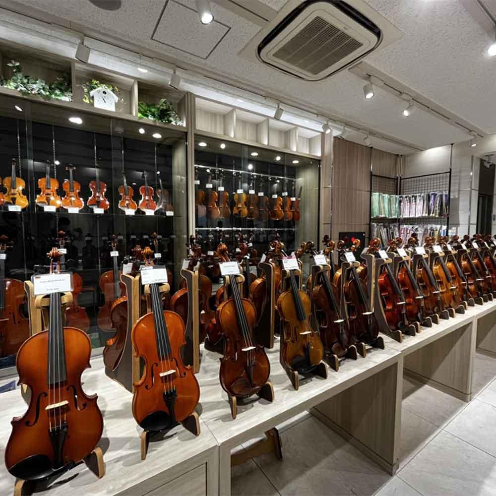 弦楽器展示会