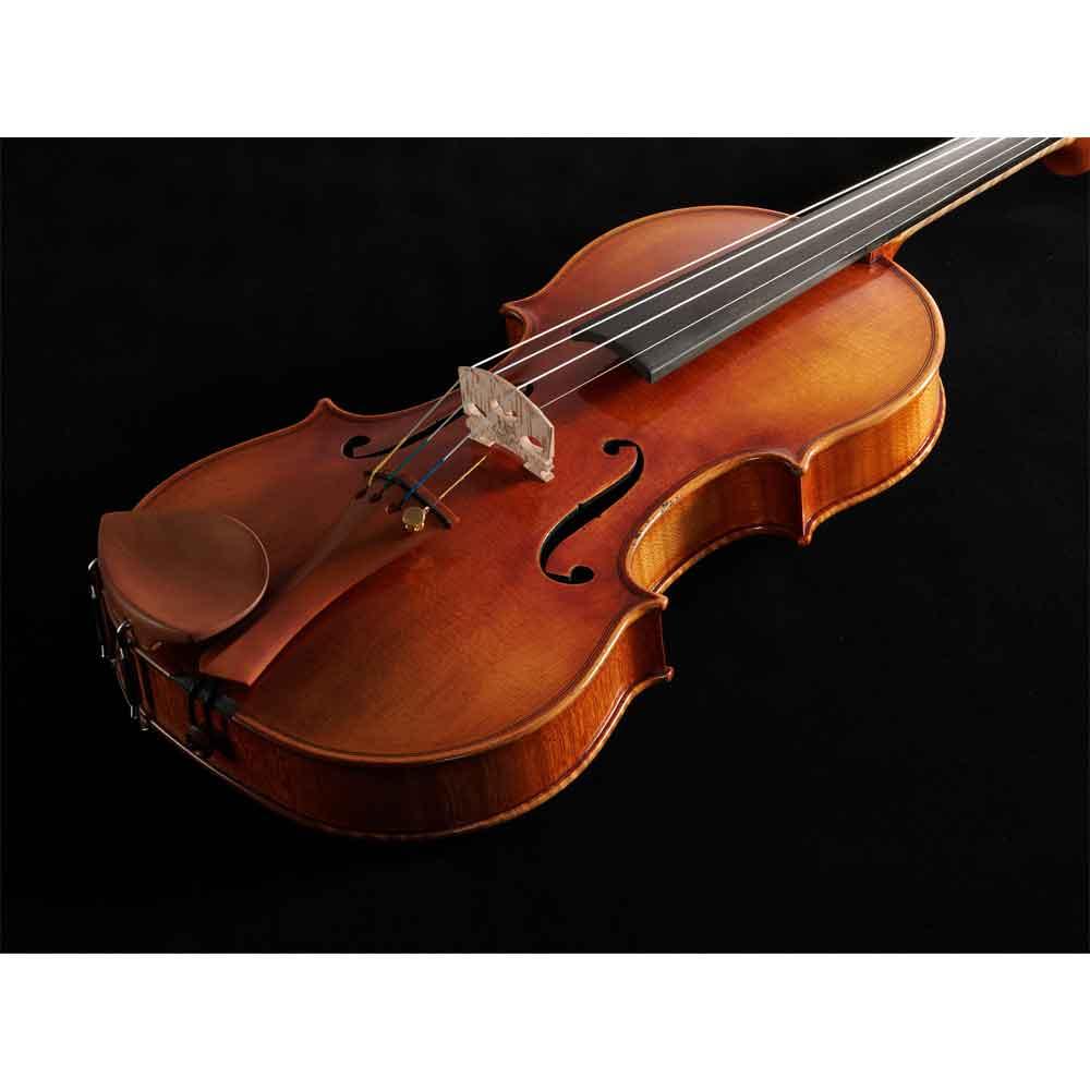 弦楽器展示会2025～運命の1挺と出会う特別な二日間～