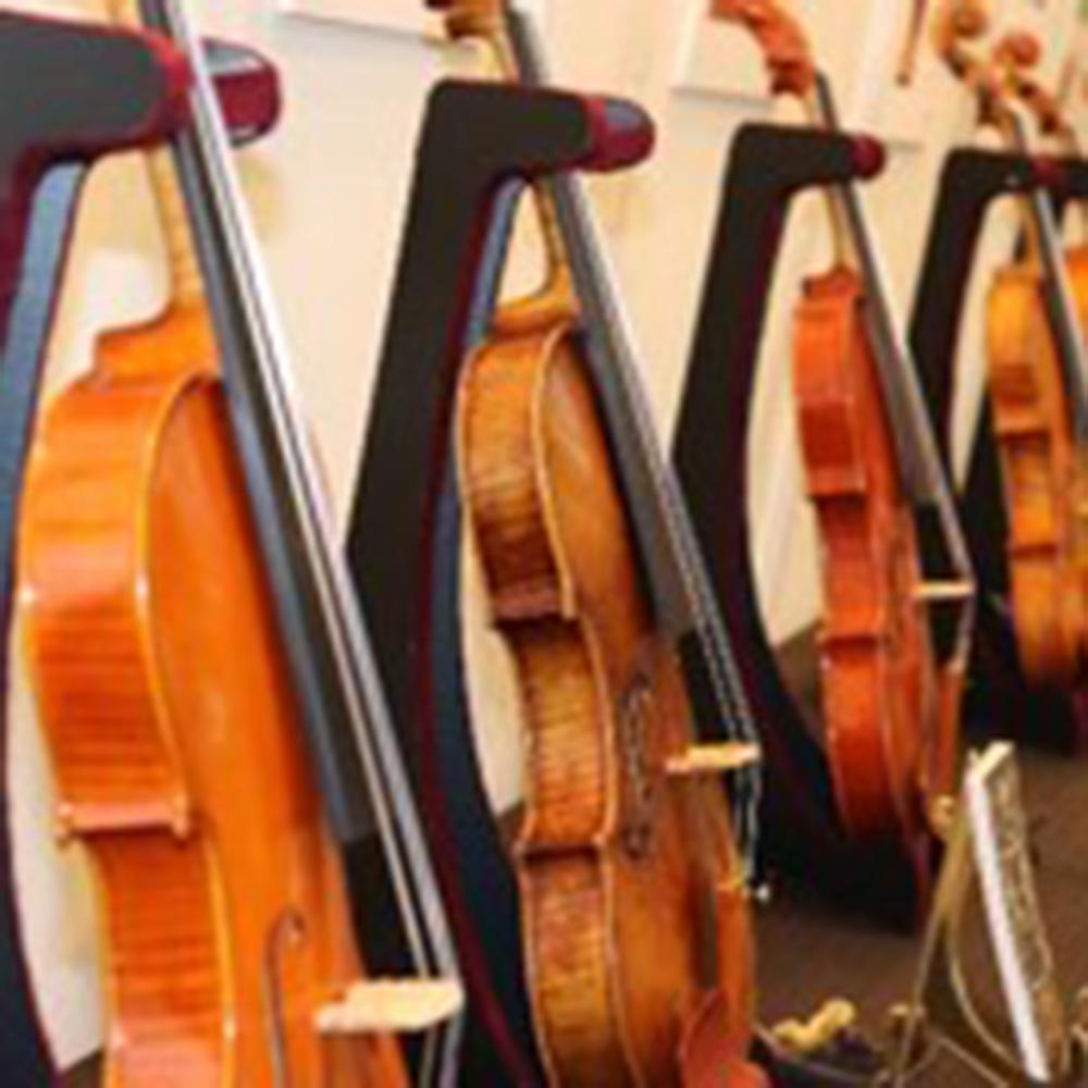 弦楽器SPECIAL DAYS