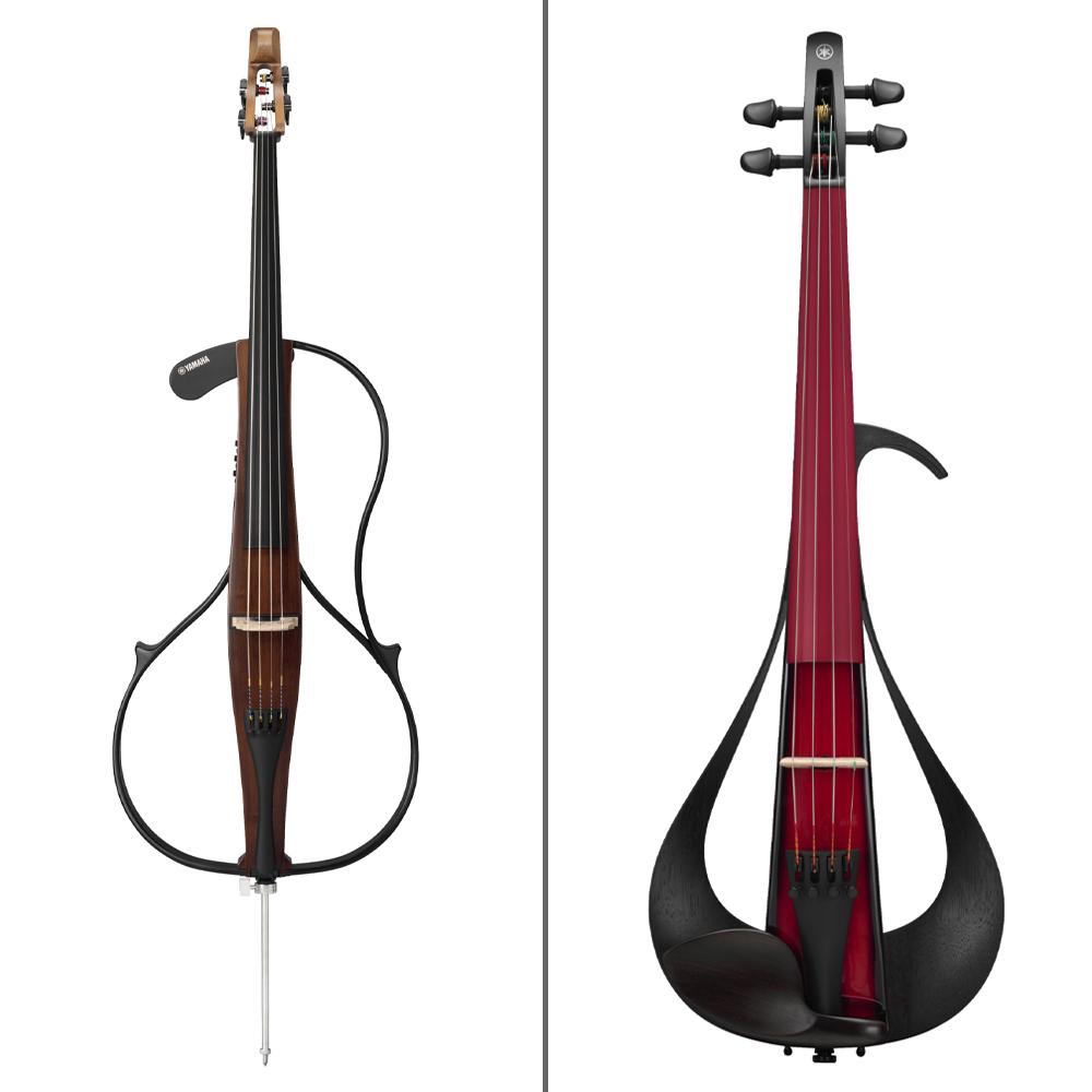 弦楽器SPECIAL DAYS