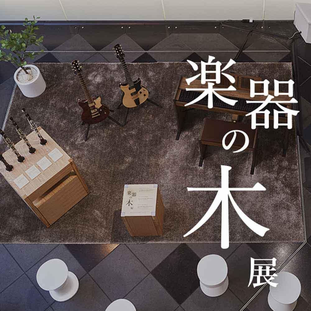 「楽器の木」展