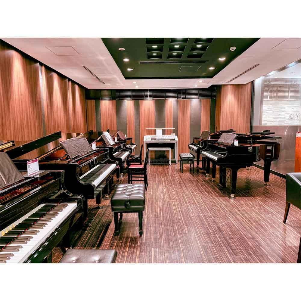 私だけのサロンコンサート -グランドピアノサロン解放DAY-