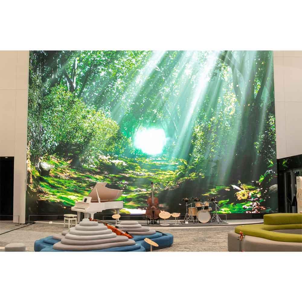 西本智実プロデュース 《胡蝶の夢》~生命の森~