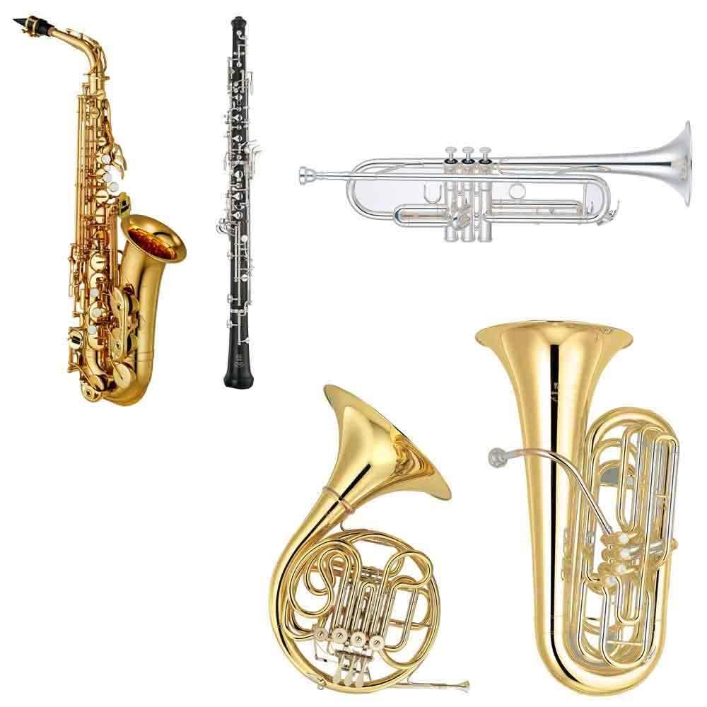 春の吹奏楽部パート決め体験会