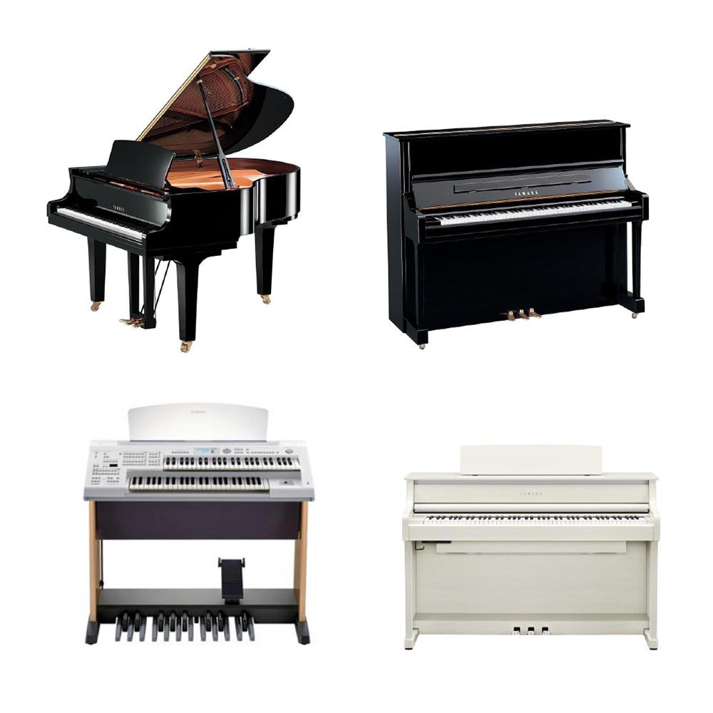 みて！ひいて！くらべて！ピアノえらび