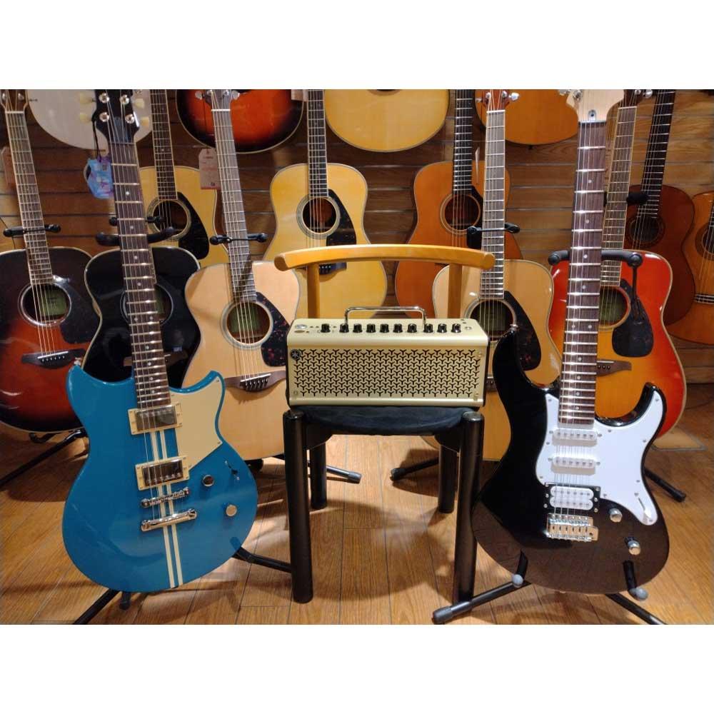 楽器の選び方講座＆適性診断会