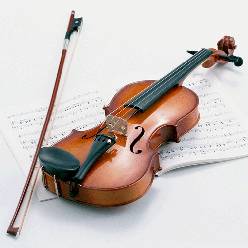 バイオリン個人レッスン　初級～上級