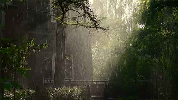 雨の日に 雨の日に