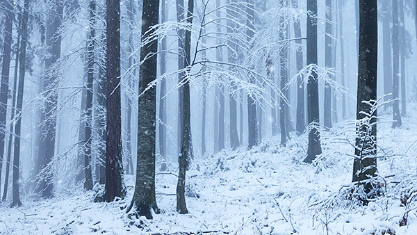 雪景色で