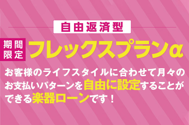 フレックスプランアルファ ライフスタイルに合わせて月々のお支払いパターンを自由に設定することができる楽器ローンです。
