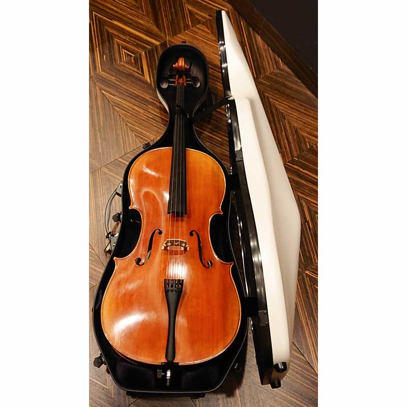 BAM HIGHTECH 2.9 SLIM Cello  1005XL