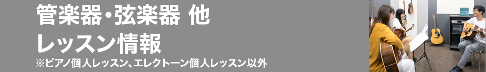 管楽器・弦楽器他レッスン情報