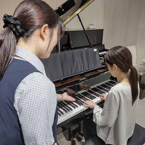 鍵盤楽器（グランドピアノ、アップライトピアノ、電子ピアノ、エレクトーン）